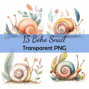 15 Boho escargot aquarelle Clipart Bundle téléchargement PNG Transparent, carte, clipart, papier numérique artisanat Scrapbooking chambre d'enfant dessin animé