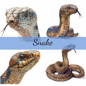 Pacote de clipart de cobra encantadora, 12 JPG de alta qualidade, arte artesanal, criação de cartões, clip art, artesanato em papel digital, scrapbooking