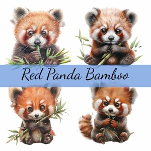 Lot de 15 cliparts panda roux avec bambou, 15 images JPG de haute qualité, créations artisanales, fabrication de cartes, clipart, créations numériques sur papier, scrapbooking