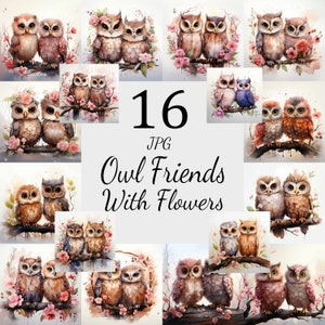 16 Eule Freunde auf Zweig, Clipart Bundle, 16 hochwertige JPG, Kinderzimmer Kunst, Kartenherstellung, Clip Art, digitales Papierfertigkeit, Eule JPG, Eule Kunst