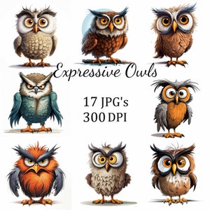 17 Quirky Funny Owls Clipart Bundle, JPG, Card Making, Clip Art, Digital Paper Craft, Scrapbooking, Wall Art, Nursery Art, Cartoon
