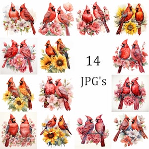 Pacote de clipart de 14 flores de amigos cardeais, JPG de alta qualidade, convites, criação de cartões, clip art, artesanato em papel digital, arte de parede para scrapbooking