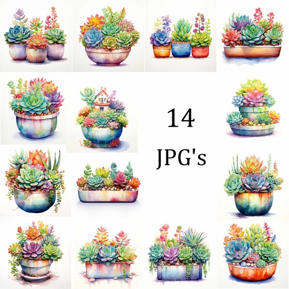 14 Succulents in Pots Clipart Bundle, High-Quality JPG, Invitations, Card Making, Clip Art, Digital Paper Craft, Scrapbooking, Wall Art