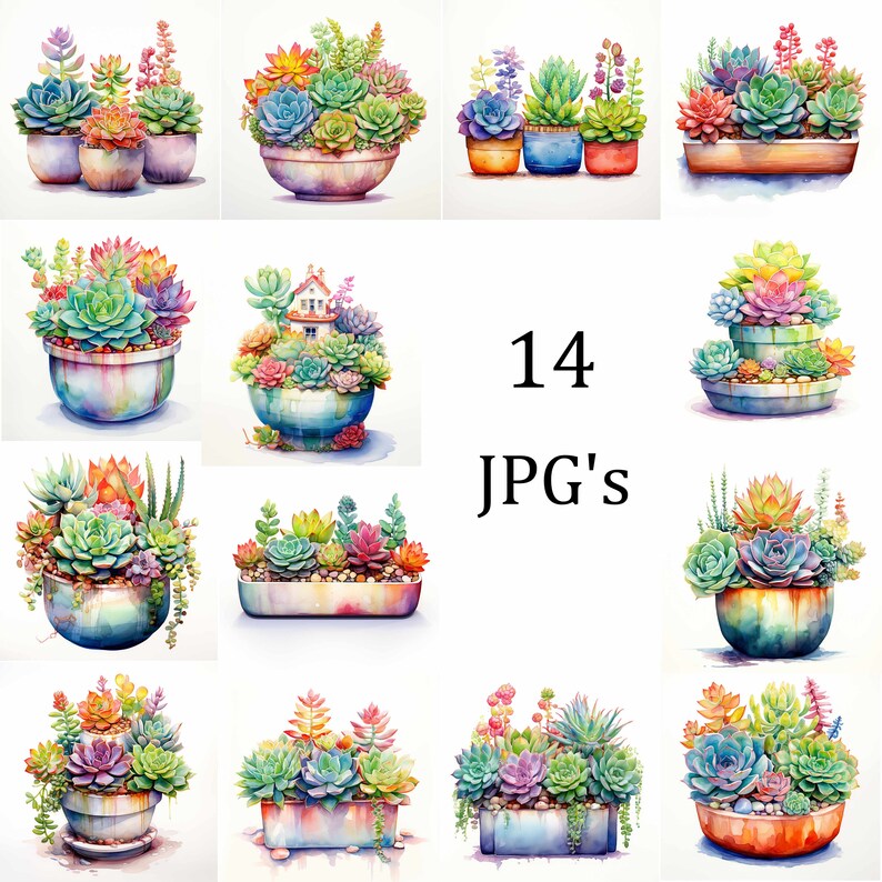 14 Succulents in Pots Clipart Bundle, High-Quality JPG, Invitations, Card Making, Clip Art, Digital Paper Craft, Scrapbooking, Wall Art image 1