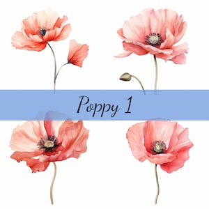 Zarte Mohnblume, Clipart-Bundle, hochwertige JPG, Handwerk Kunst, Kartenherstellung, Clip Art, Digitales Papiermodell, Scrapbooking, Blume