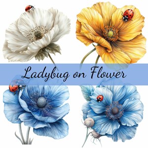 Paquete de 16 imágenes prediseñadas de mariquitas sobre flores, 16 imágenes en formato JPG de alta calidad, manualidades, creación de tarjetas, imágenes prediseñadas, manualidades con papel digital, álbumes de recortes