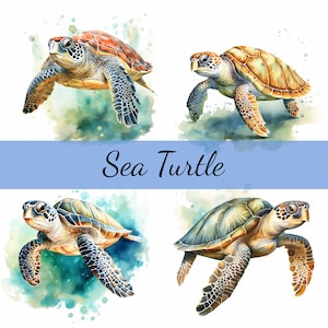 Bundle de cliparts tortue de mer, JPG de haute qualité, création artistique, fabrication de cartes, clipart, créations numériques sur papier, scrapbooking