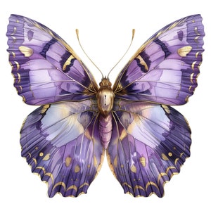Purple and Gold Butterfly Clipart Bundle, 16 High-quality JPG, Craft ...