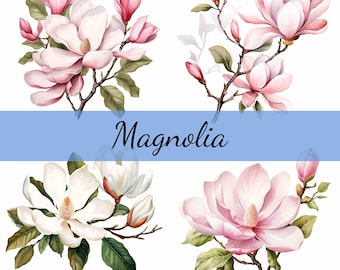 May include: Four watercolor illustrations of magnolia flowers. The flowers are pink and white with green leaves. The word "Magnolia" is written in cursive across the top of the image.