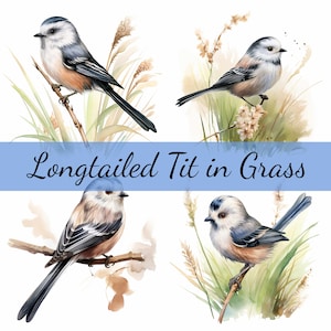 Lot de 15 cliparts mésange à queue longue, JPG de haute qualité, création artistique, fabrication de cartes, clipart, créations numériques sur papier, scrapbooking