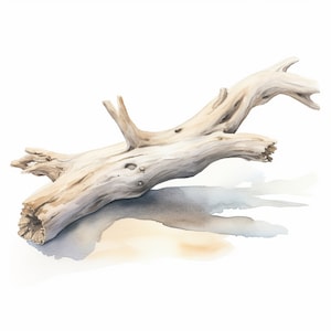 16 Driftwood Beach Clipart Bundle, High-quality JPG, Craft Art, Card ...