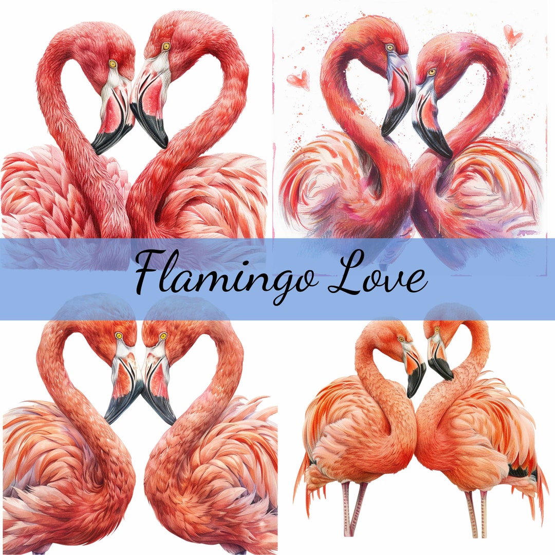 Flamingos in Love Clipart Bundle, 15 High-quality JPG, Craft Art, Card ...
