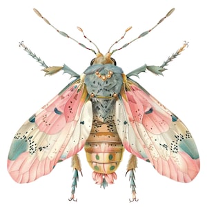 16 Floral Insect in Pink Clipart Bundle, High-quality JPG, Craft Art ...