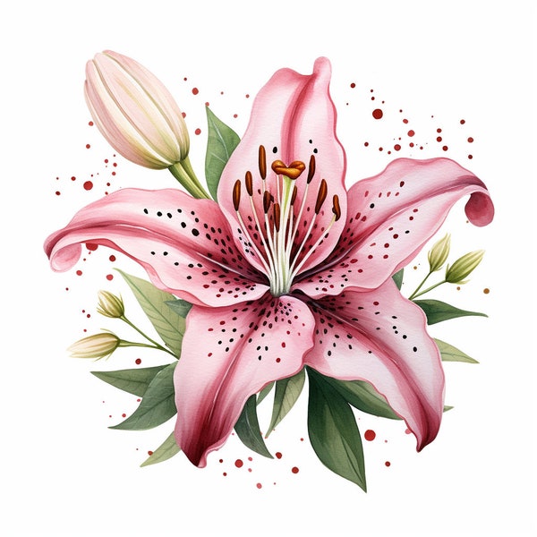 15 Stargazer Lily Flower Clipart Bundle, High-Quality JPG, Craft Art, Card Making, Clip Art, Digital Paper Craft, Scrapbooking