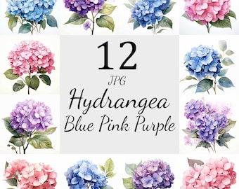 12 flores de hortensia en paquete de imágenes prediseñadas de color rosa púrpura azul, JPG de alta calidad, arte infantil, fabricación de tarjetas, imágenes prediseñadas, hortensias artesanales de papel digital