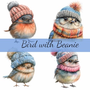 Lot de 16 cliparts oiseau mignon avec bonnet en tricot, 16 fichiers JPG de haute qualité, création artistique, fabrication de cartes, clipart, créations numériques sur papier, scrapbooking