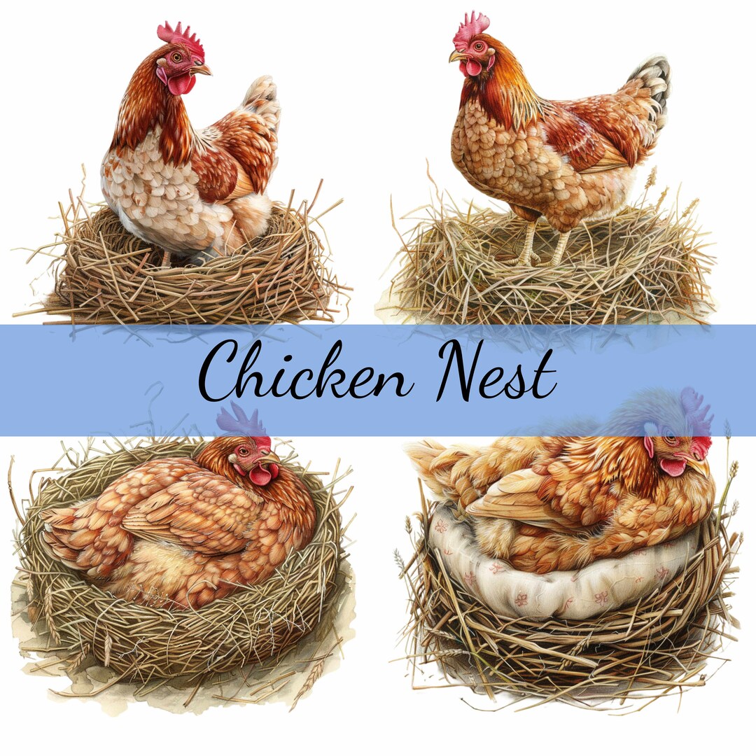 16 Hen Chicken on a Nest Clipart Bundle, 16 High-quality JPG, Craft Art ...