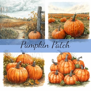 May include: Watercolor illustrations of pumpkins in a pumpkin patch. The images show various scenes, including pumpkins in a field, and close-ups of pumpkins. The text "Pumpkin Patch" is displayed across the images.
