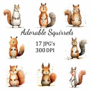 Lot de 17 cliparts mignons écureuils stupides, JPG, fabrication de cartes, clipart, créations numériques en papier, scrapbooking, art mural, art pour chambre d'enfant, dessin animé