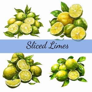 16 Stapel Limes geschnittenes Obst Clipart Bundle, 16 hochwertige JPG, Craft Art, Kartenherstellung, Clip Art, Digital Paper Craft, Scrapbooking
