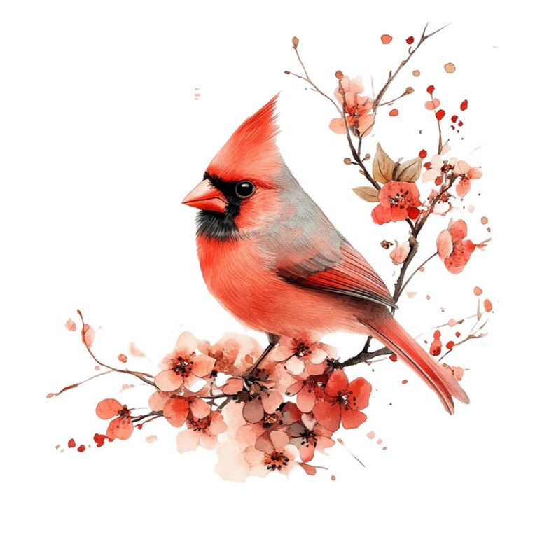 Folk Art Cardinal Bird on Branch Clipart Bundle 12 Transparent PNG