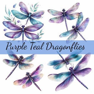 May include: A digital illustration of six purple and teal dragonflies with intricate details. The dragonflies are arranged in a symmetrical pattern on a white background. The text "Purple Teal Dragonflies" is written in a blue banner at the top of the image.