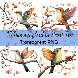 16 Colibri oiseau coeur arbre Clipart Bundle, téléchargement PNG Transparent, carte, clipart, scrapbooking papier numérique, art populaire, Saint-Valentin