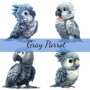 16 Baby-Graupapagei-niedlicher Vogel-Clipart-Bundle, 16 hochwertige JPG, Handwerkskunst, Kartenherstellung, Clip Art, digitales Papiermodell, Scrapbooking