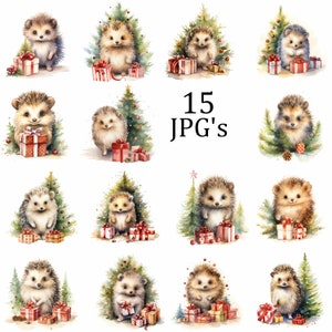 Lot de 15 cliparts sapin de Noël hérisson, JPG de haute qualité, oeuvre d'art pour chambre d'enfant, fabrication de cartes, clipart, créations numériques sur papier, scrapbooking, art mural