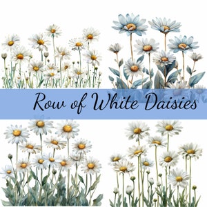 16 White Daisy Flowers in a Row Clipart Bundle, 16 High-quality JPG ...