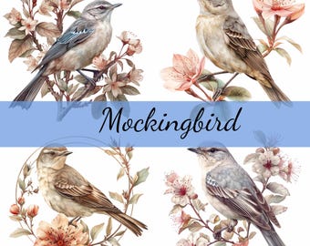 May include: Four watercolor illustrations of mockingbirds perched on branches of flowering trees. The birds are depicted in shades of brown and gray, with delicate details of their feathers. The flowers are a mix of pink and white, adding a touch of color to the scene.