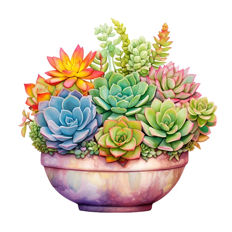 May include: A colorful arrangement of succulents in a light purple ceramic pot. The succulents are in shades of green, blue, pink, and orange.