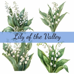 Lot de 16 cliparts fleurs de muguet, 16 images JPG de haute qualité, créations artisanales, fabrication de cartes, clipart, créations numériques sur papier, scrapbooking