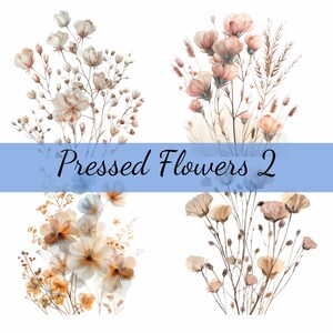 Paquete de imágenes prediseñadas de flores prensadas en color beige, 16 archivos JPG de alta calidad, manualidades, creación de tarjetas, imágenes prediseñadas, manualidades con papel digital, álbumes de recortes