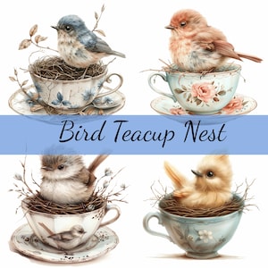 Lot de 16 cliparts mignon oiseau dans un nid de tasse de thé, 16 fichiers JPG de haute qualité, création artistique, fabrication de cartes, clipart, créations numériques sur papier, scrapbooking