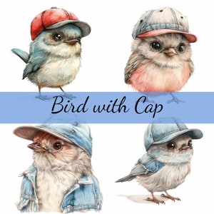 16 Cute Bird with Ball Cap Clipart Bundle, 16 High-Quality JPG, Craft Art, Card Making, Clip Art, Digital Paper Craft, Scrapbooking