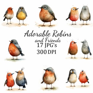 17 Silly Cute Robin Birds and Friends Clipart Bundle, JPG, Card Making, Clip Art, Digital Paper Craft, Cartoon, Wall Art, Nursery Art