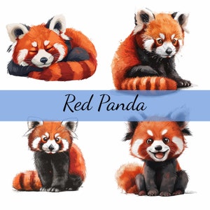 Niedliches Roter Panda-Clipart-Bundle, 16 hochwertige JPG, Kunsthandwerk, Kartenherstellung, Clip Art, Digitales Papiermodell, Scrapbooking