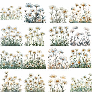 16 White Daisy Flowers in a Row Clipart Bundle, 16 High-quality JPG ...