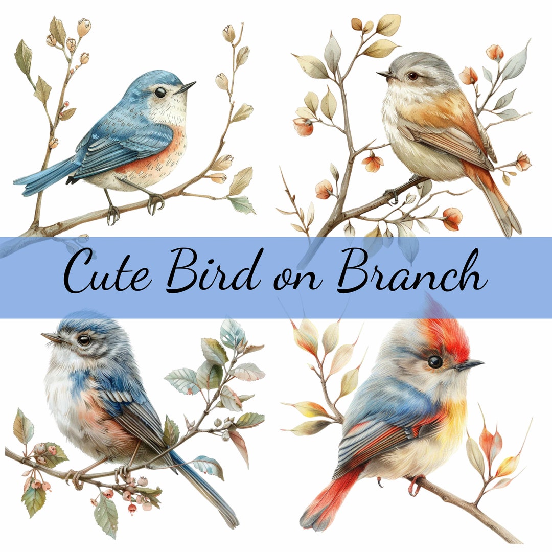 16 Cute Bird on a Branch Clipart Bundle, 16 High-quality JPG, Craft Art,  Card Making, Clip Art, Digital Paper Craft, Scrapbooking - Etsy, image size:1080x1080