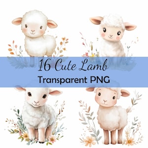 16 süße Lamm Schafe Boho illustrierte Clipart Bundle, transparente PNG Download, Karte, Clip Art, digitales Papier Handwerk Scrapbooking, Volkskunst