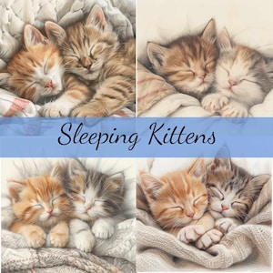 Lot de 16 cliparts mignons chatons qui dorment, 16 fichiers JPG de haute qualité, création artistique, fabrication de cartes, clipart, créations numériques sur papier, scrapbooking