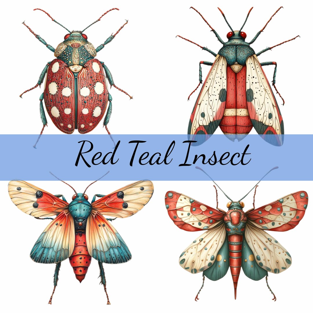 Teal Insects 15 Red and Teal Blue Insects Clipart Bundle, 15 JPG and Transparent PNG ...