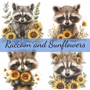 Lot de 15 cliparts raton laveur et tournesols, 15 images JPG de haute qualité, création artistique, fabrication de cartes, clipart, créations numériques sur papier, scrapbooking