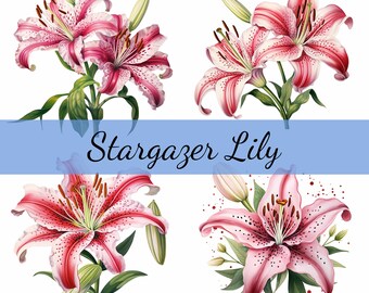 Paquete de 15 imágenes prediseñadas de flores de lirio Stargazer, JPG de alta calidad, manualidades, fabricación de tarjetas, imágenes prediseñadas, manualidades con papel digital, álbumes de recortes