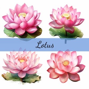 16 fiori di loto rosa Clipart Bundle, JPG di alta qualità, artigianato, creazione di biglietti, Clip Art, artigianato di carta digitale, scrapbooking