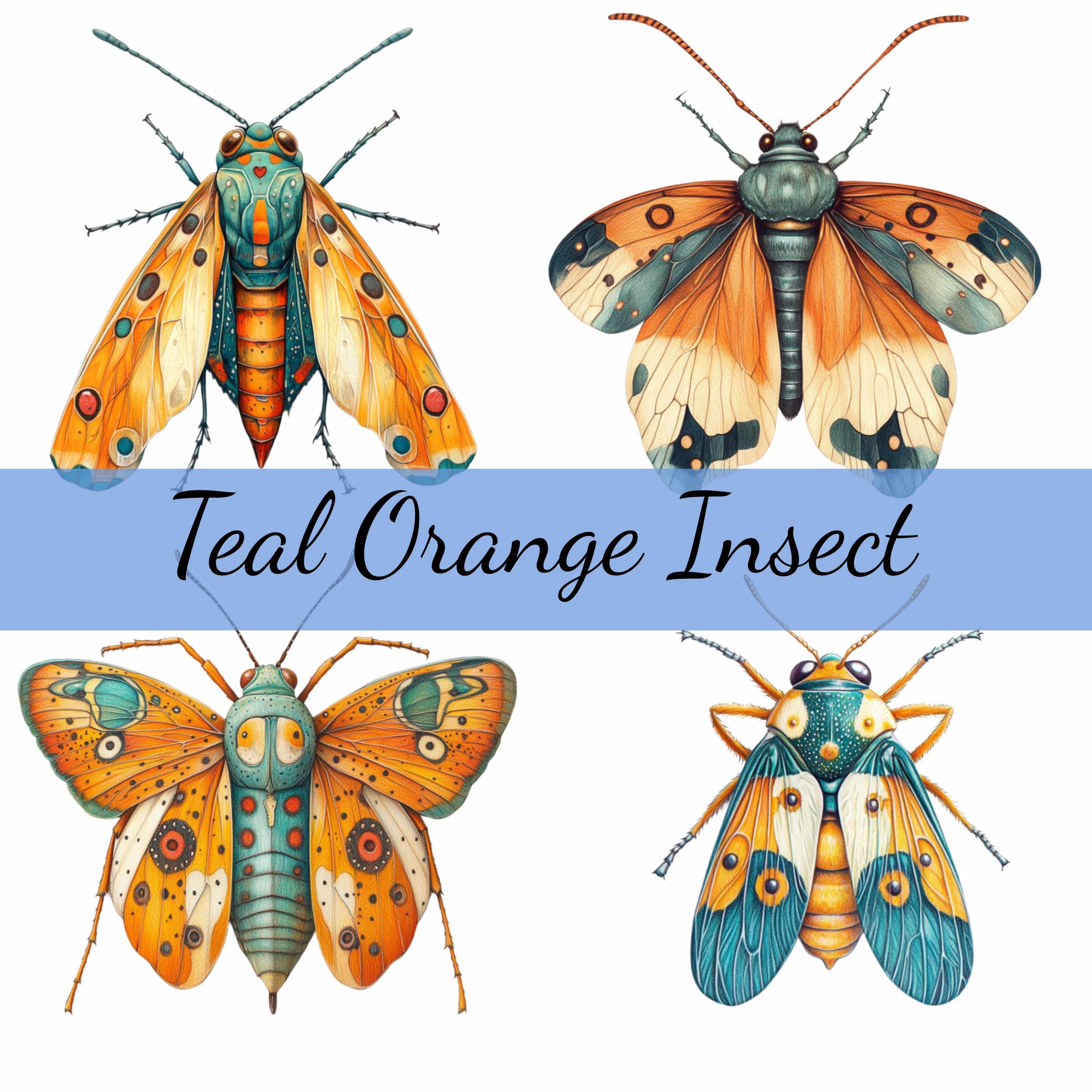 Teal Insects 16 Orange and Teal Blue Insect Clipart Bundle, High-quality JPG, Craft ...