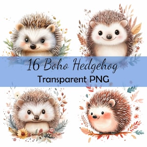 16 Bundle de cliparts aquarelle bohème mignon hérisson téléchargement PNG Transparent, carte, clipart, papier numérique créatif Scrapbooking