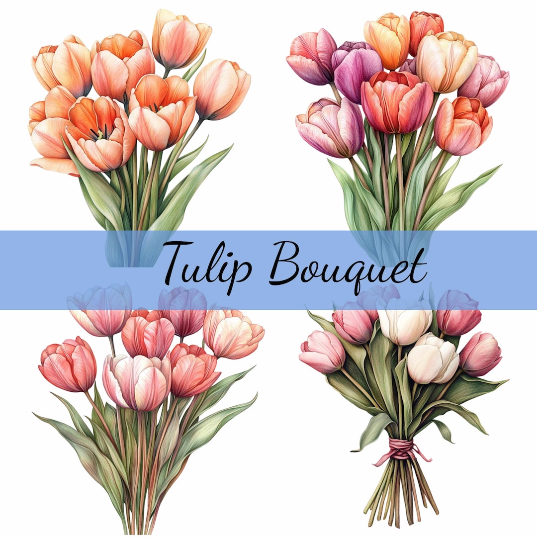 Tulip Bouquet Flower Clipart Bundle 12 Transparent PNG Download, Card ...