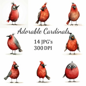 Paquete de 14 imágenes prediseñadas de pájaros cardenal divertidos y tontos, JPG, fabricación de tarjetas, imágenes prediseñadas, manualidades de papel digitales, álbumes de recortes, arte mural, arte infantil, dibujos animados